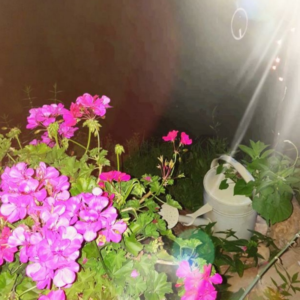 Meet your Posher, Joane